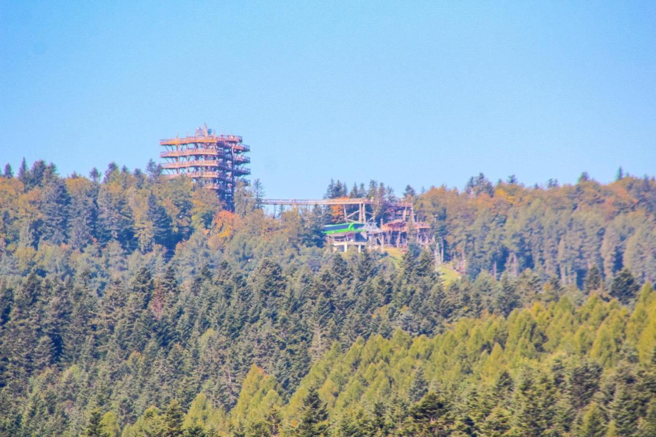 Center - Zdrojowe * Krynica-Zdrój